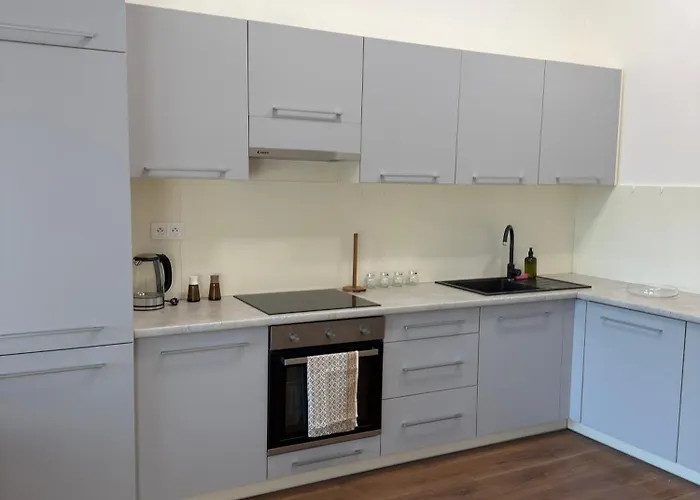 Nadstandardny V Centre S Parkovanim 아파트 *