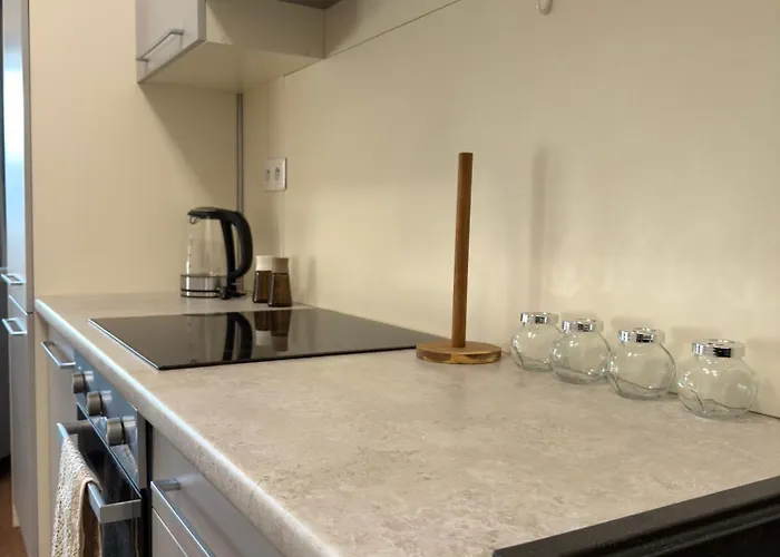 Nadstandardny V Centre S Parkovanim 아파트